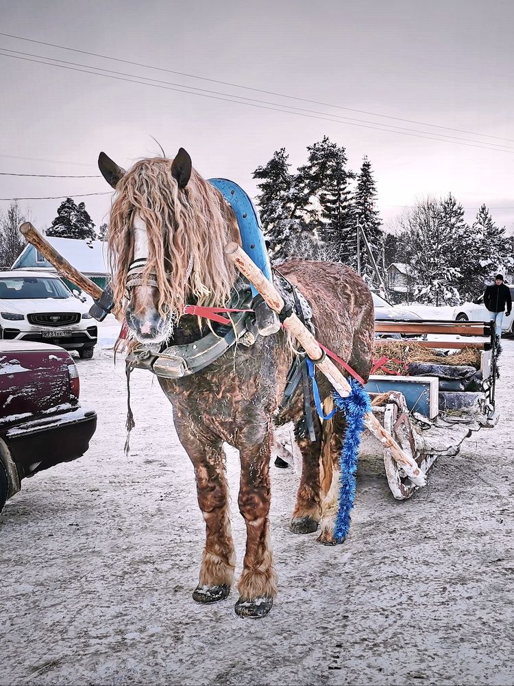 Фотография автора Анатолий Дауров