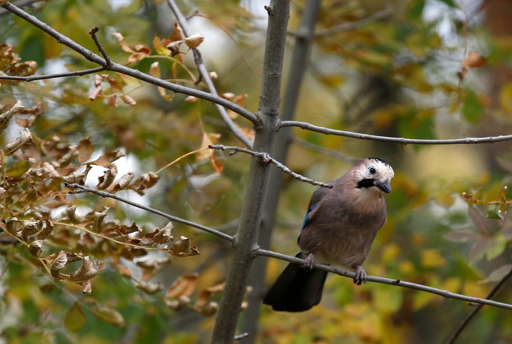 Фотография автора Ольга Слотвинская