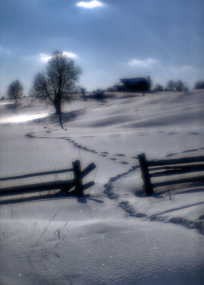 Фотография автора EVGENY FADIN