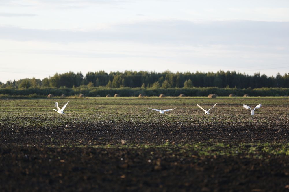 Фотография автора Ольга Слотвинская