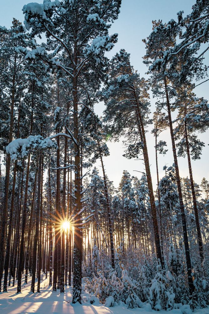 Photograph by Евгений Прокудин