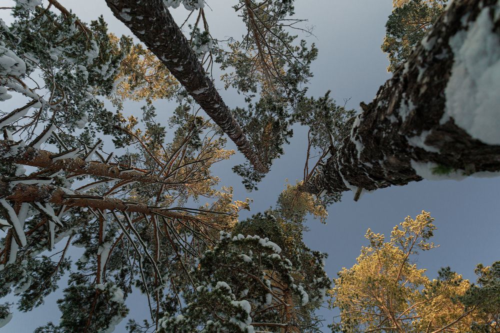 Photograph by Евгений Прокудин