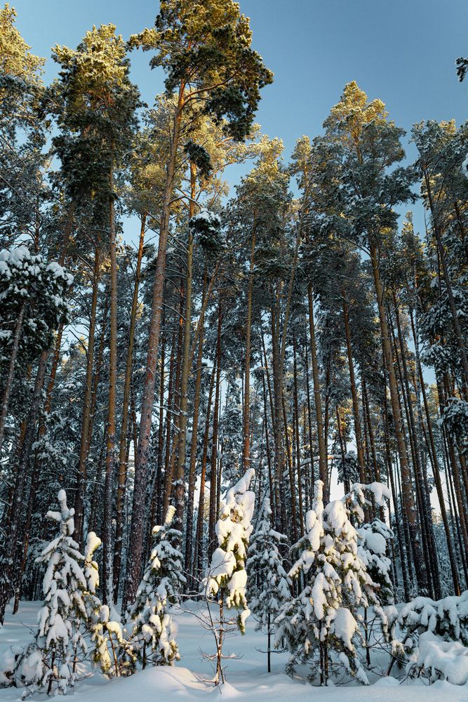 Photograph by Евгений Прокудин