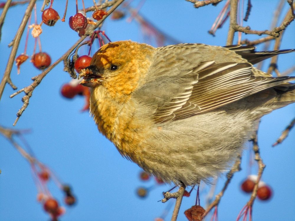 Photograph by Екатерина Солохина