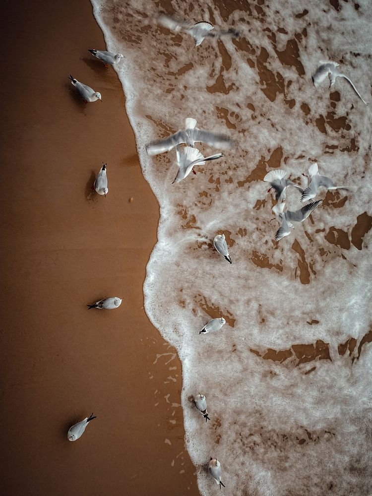 Photograph by Пыльцева Юлия