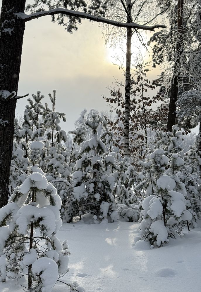 Фотография автора Юлия Денисенко