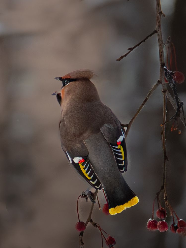 Photograph by Александр Щедрин