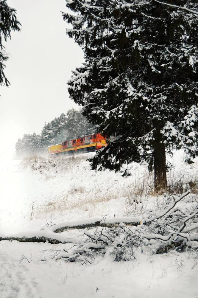 Photograph by Kryakushka