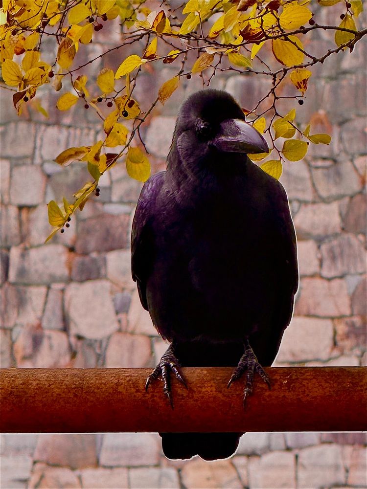 Photograph by Алла Киселева