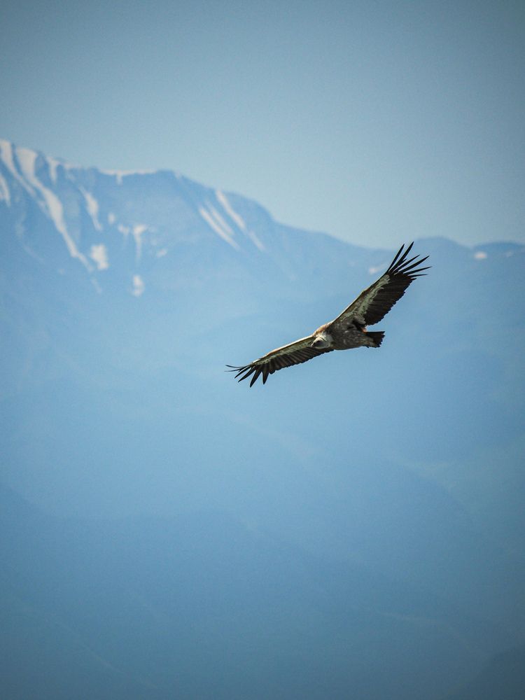 Photograph by Виталий Шмачко