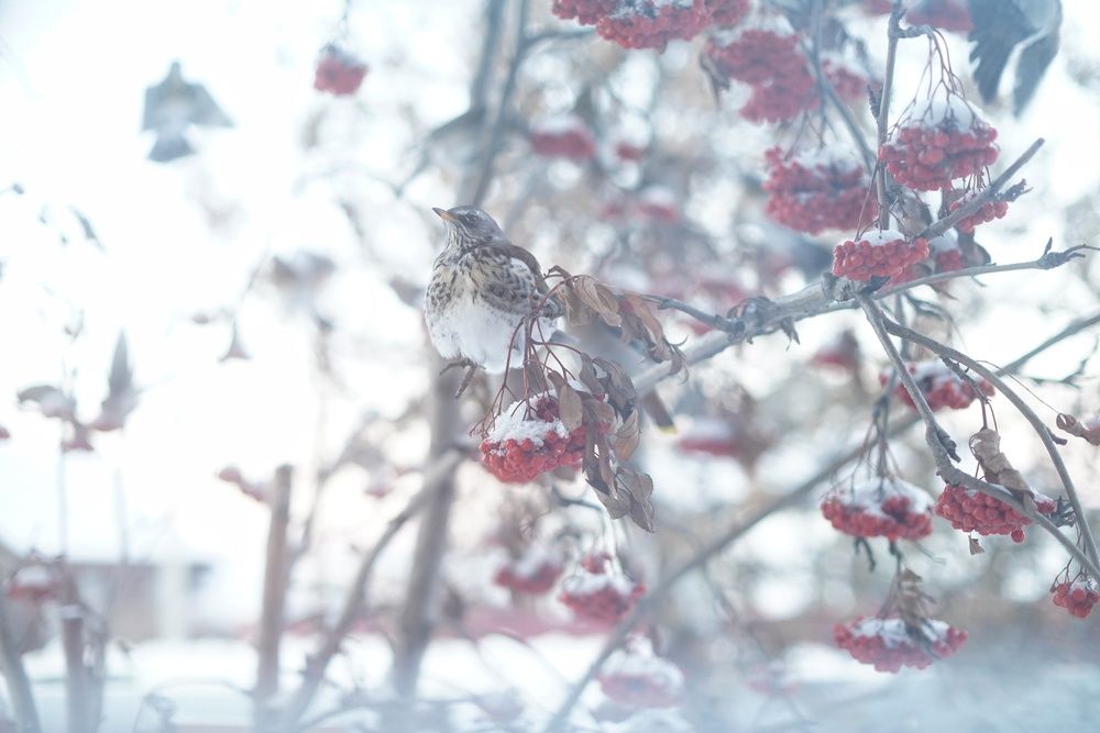 Photograph by Анастасия Позинич