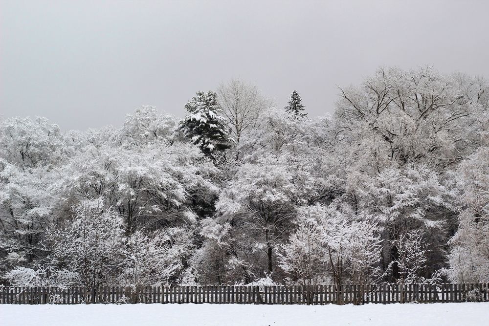 Photograph by Козлова Ольга