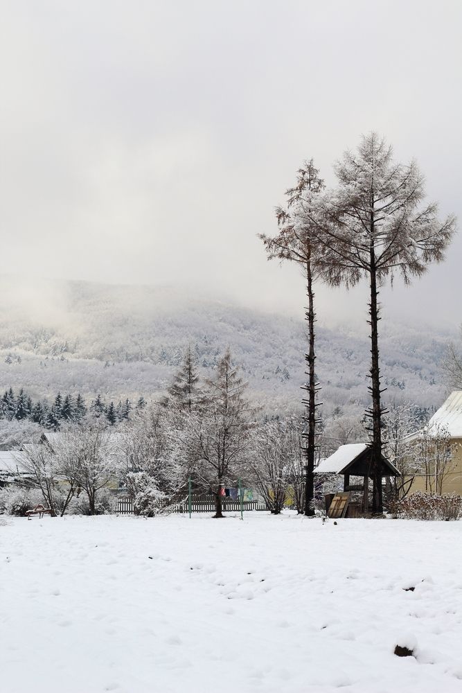 Photograph by Козлова Ольга