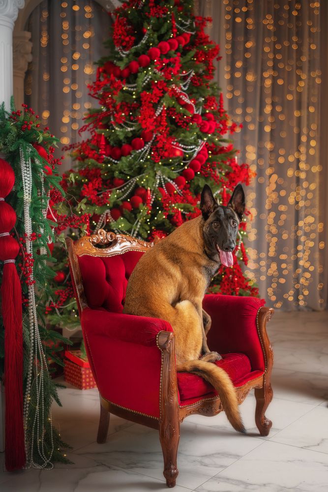 Фотография автора Третьякова Анастасия