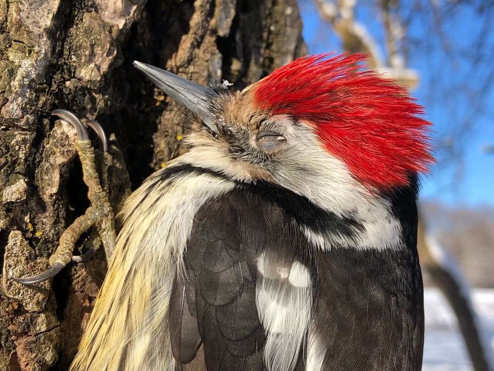 Photograph by Елена Солодовник