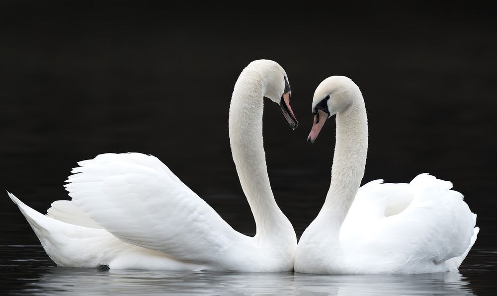 Фотография автора Пушкарева Василиса