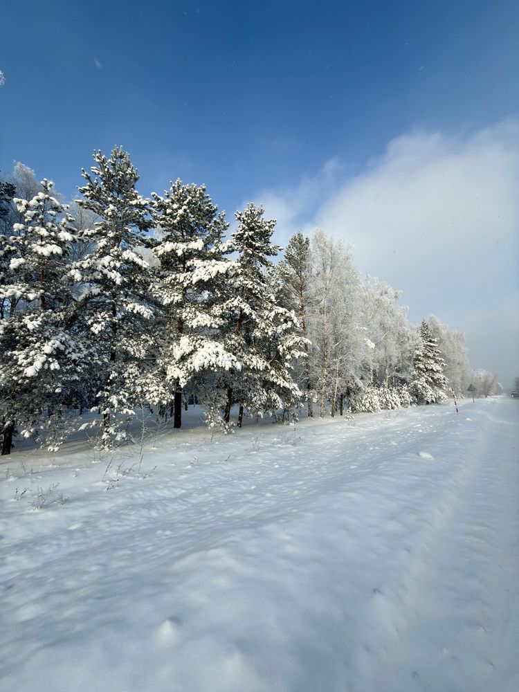Фотография автора Юлия Денисенко
