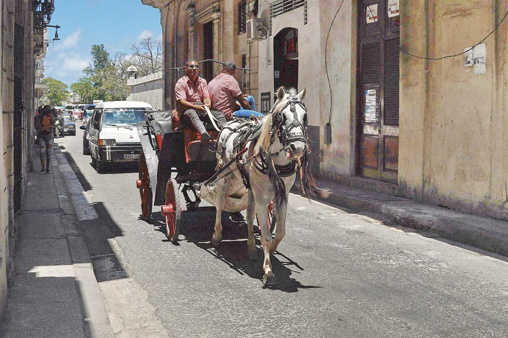 Фотография автора Анатолий Дауров