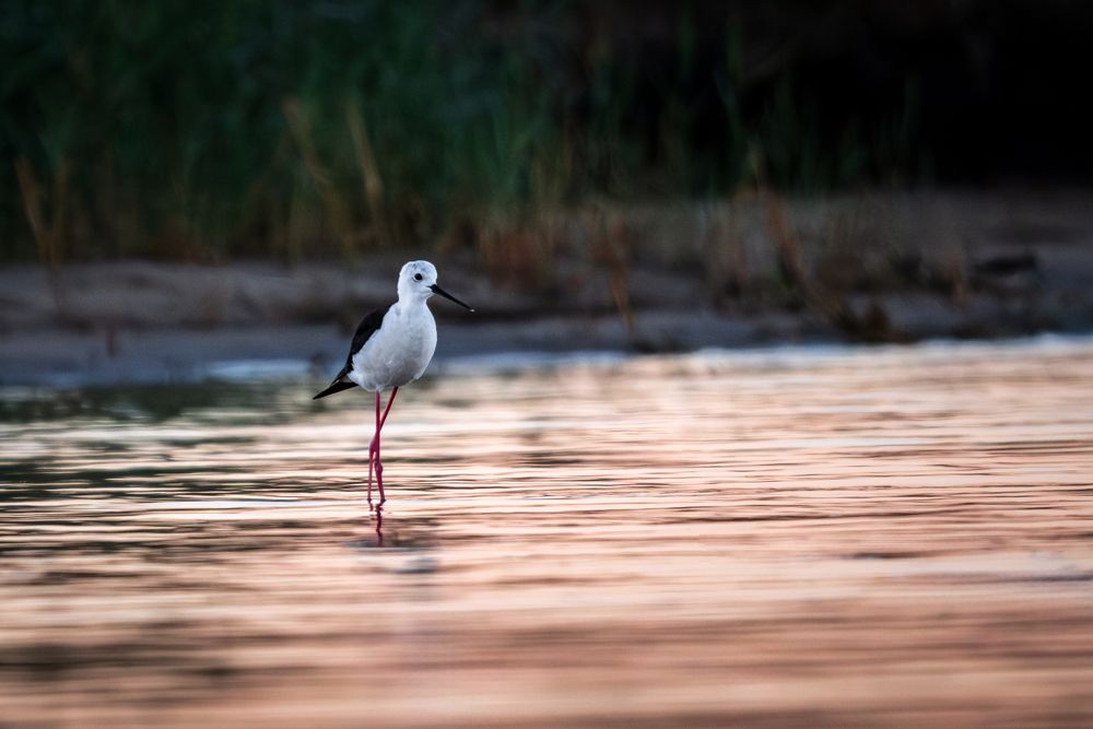Photograph by Бодрягин Виталий