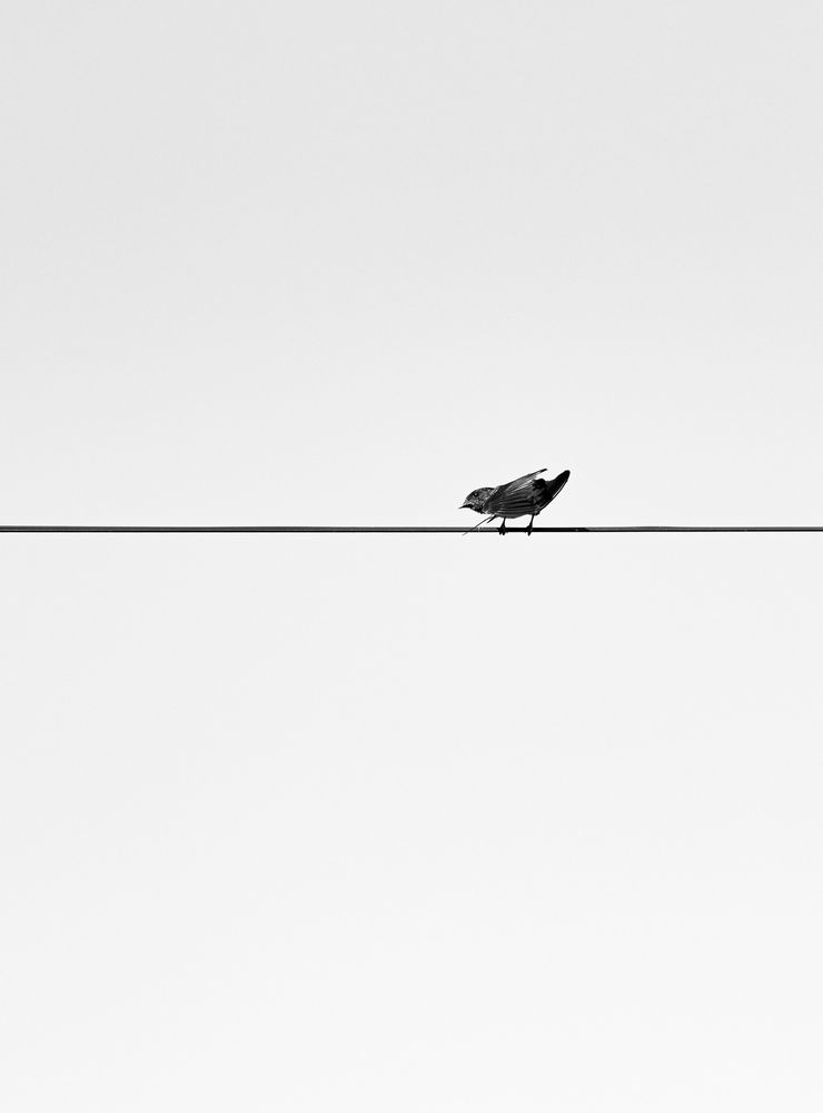 On the edge of silence