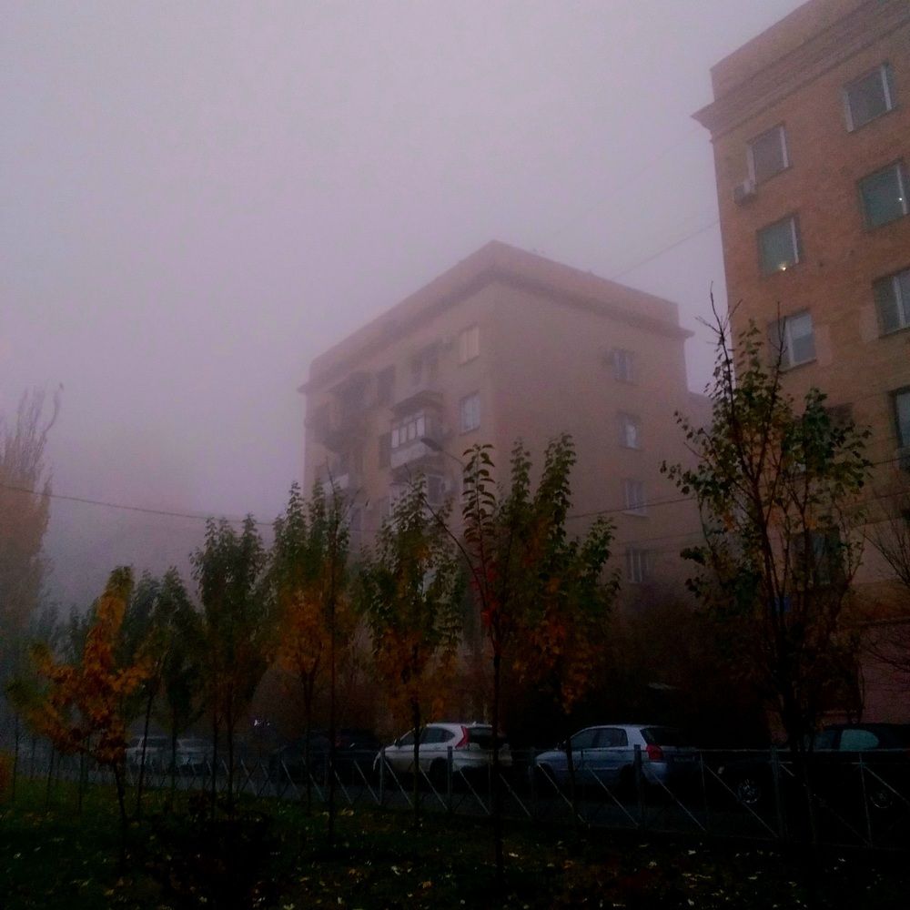 Photograph by Васильева Львовна