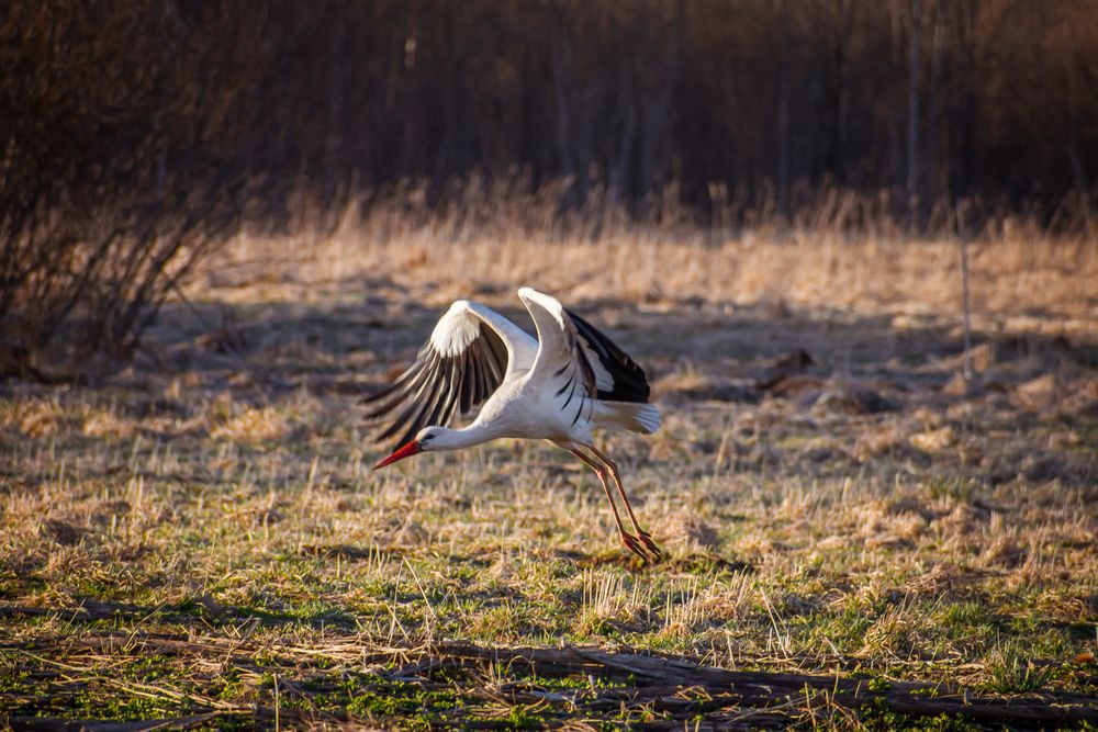 Photograph by Александра Плискова