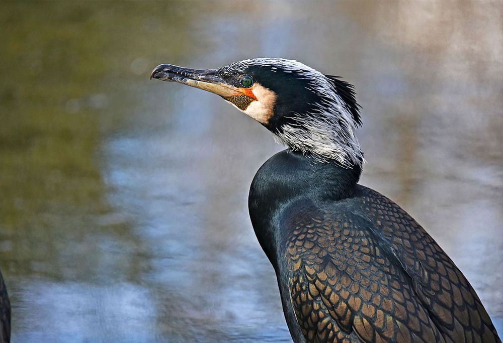 Photograph by Marjo Steffen