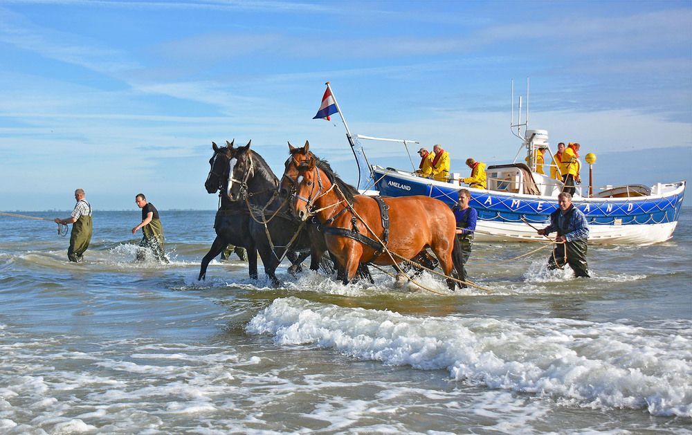 Photograph by Marjo Steffen