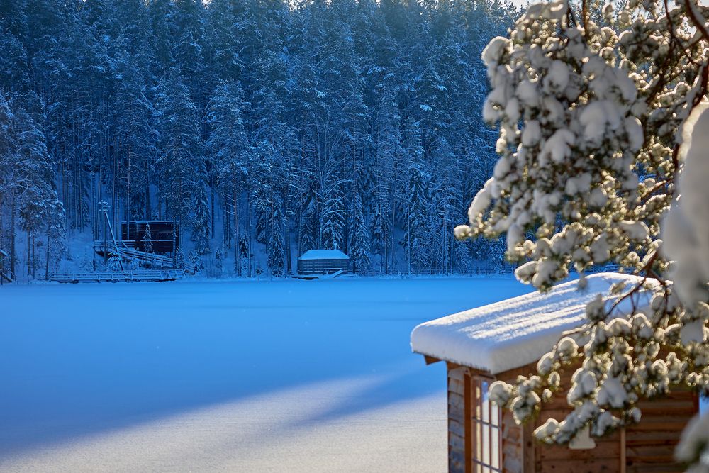 Photograph by Воробьева Людмила