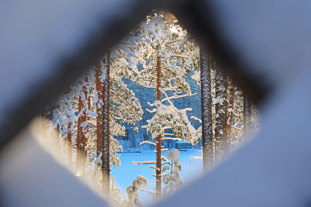 Photograph by Воробьева Людмила