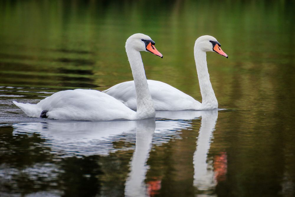 Photograph by Юрий Фефилов