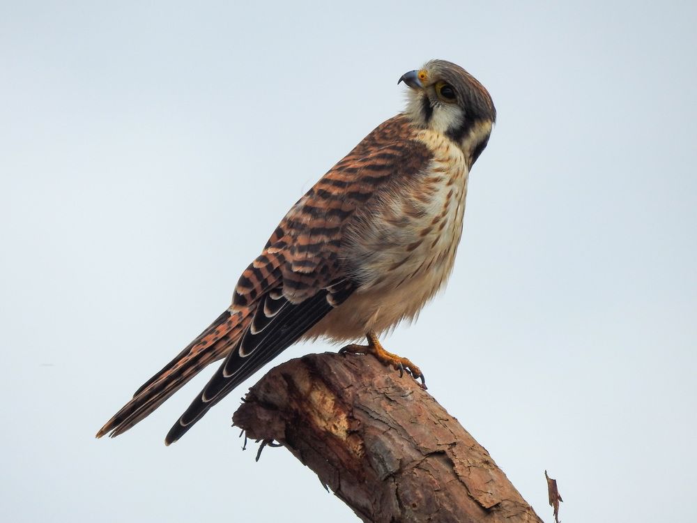 Photograph by Mateus Campos Felipe