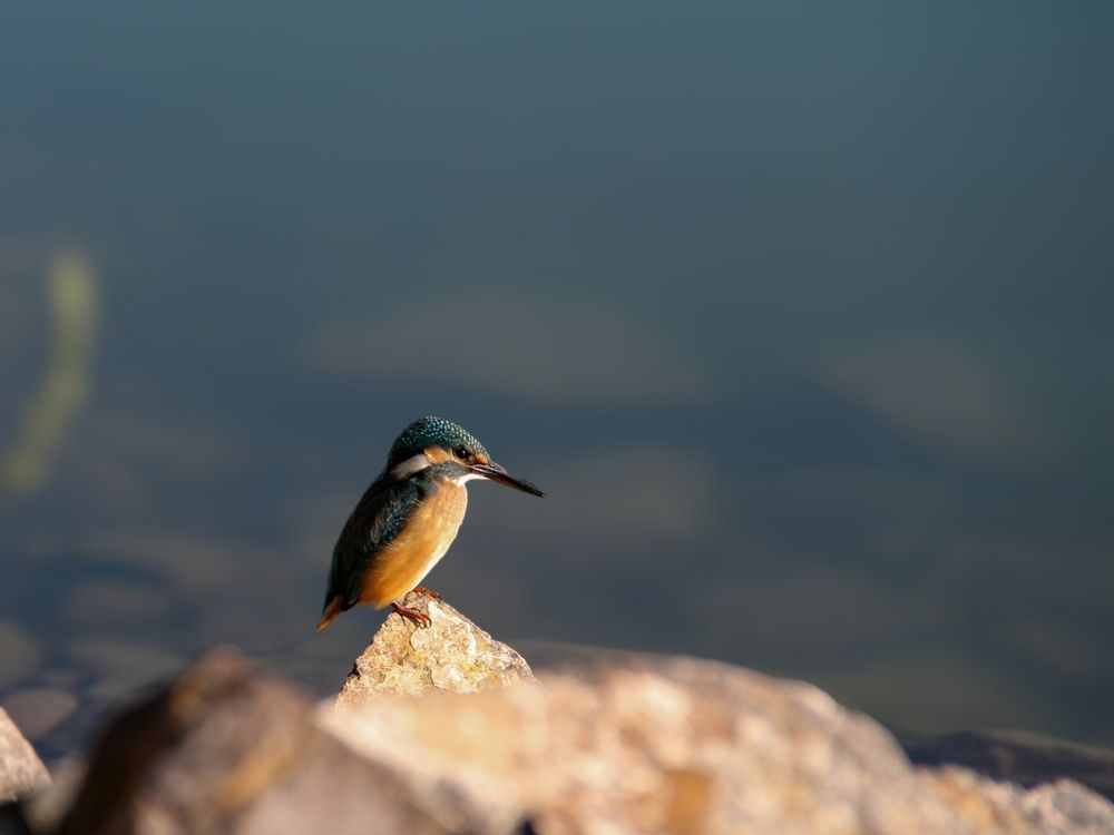 Photograph by Владимир Ли