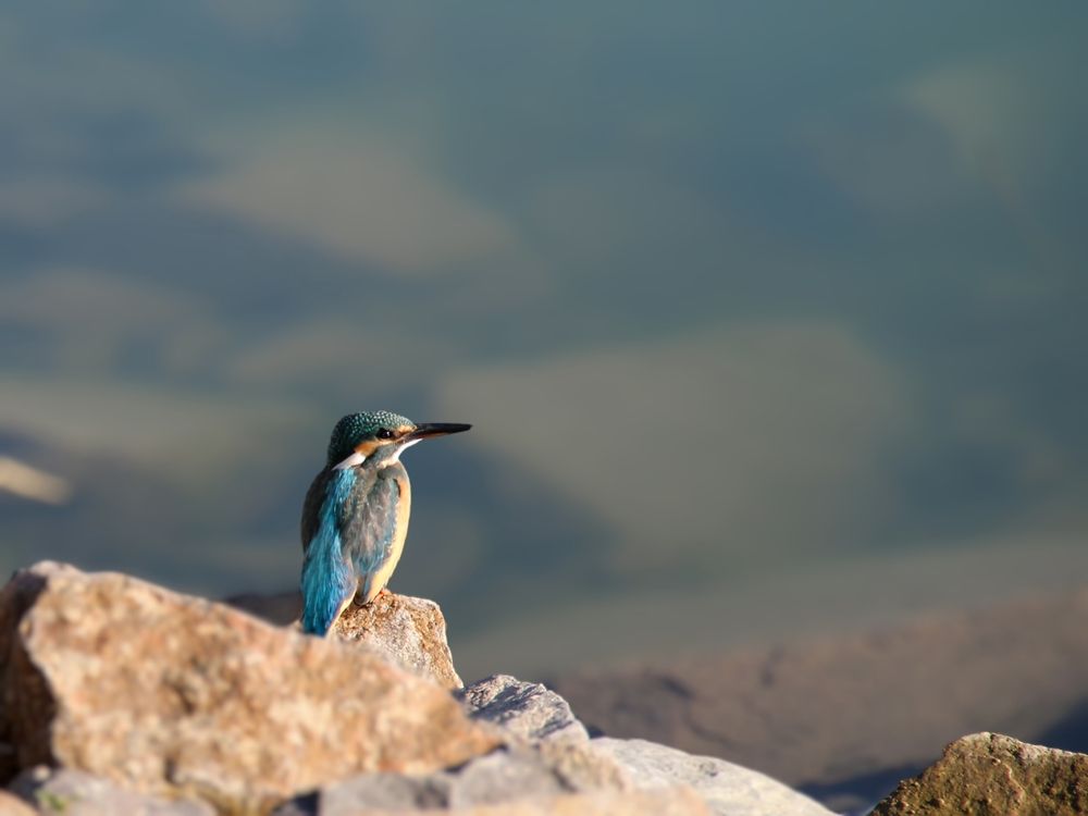 Photograph by Владимир Ли