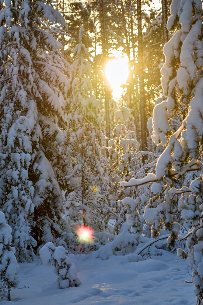 Photograph by Воробьева Людмила