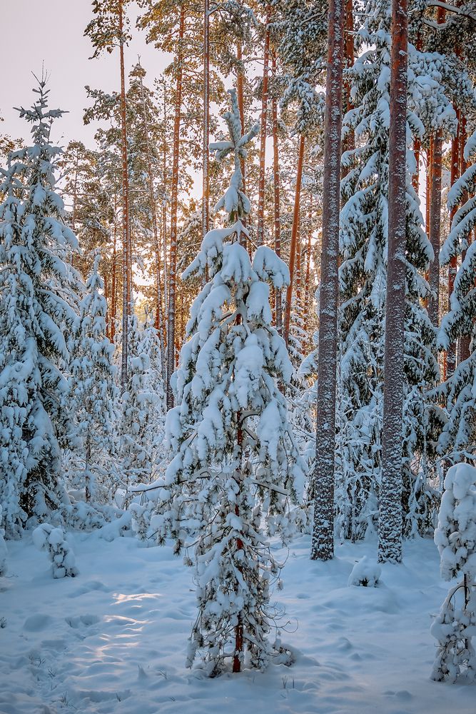 Photograph by Воробьева Людмила