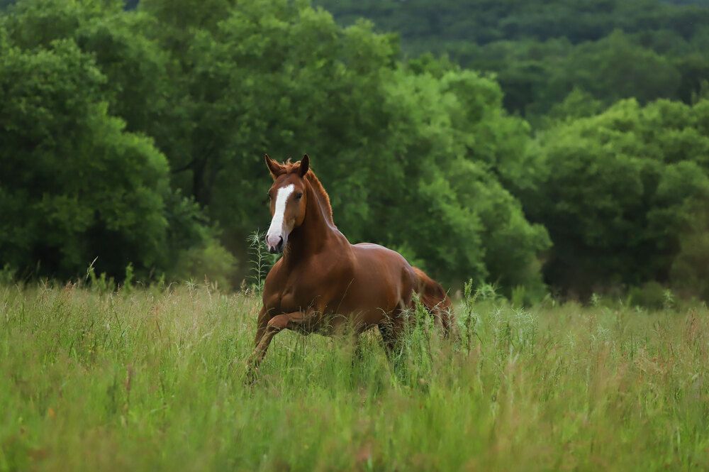 Photograph by Ольга Колобова