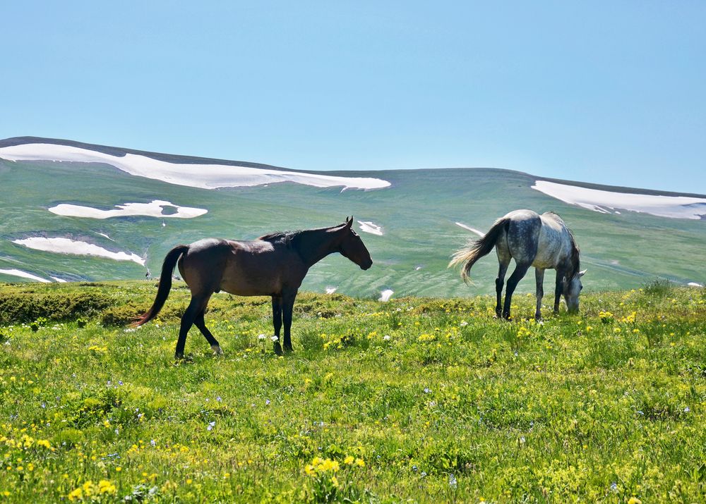 Фотография автора  Владимир