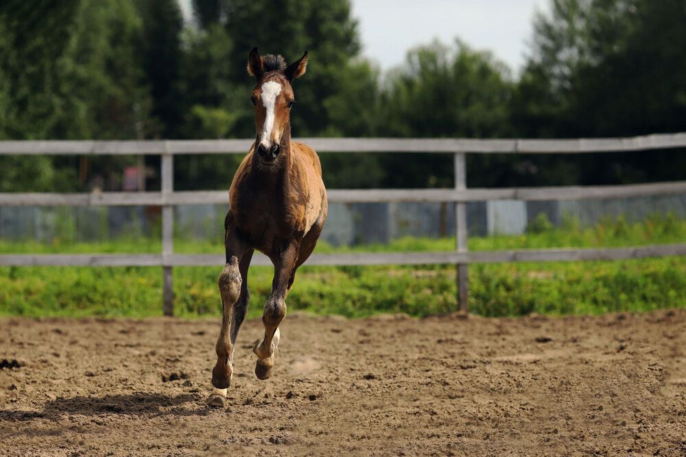 Photograph by Ольга Колобова