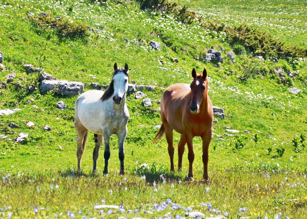 Фотография автора  Владимир