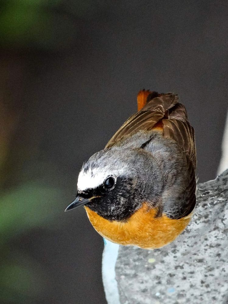 Photograph by Анжелика Трошина