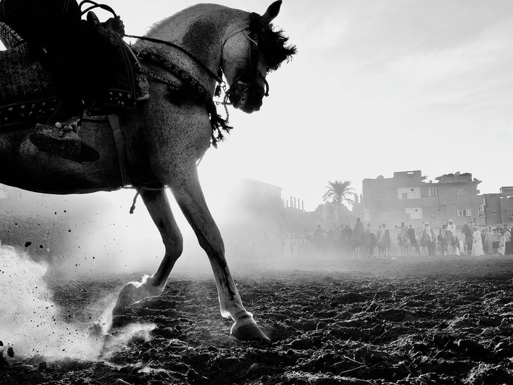 Photograph by Abdullah Salah