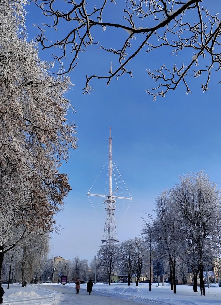 Фотография автора Нестеренко Светлана