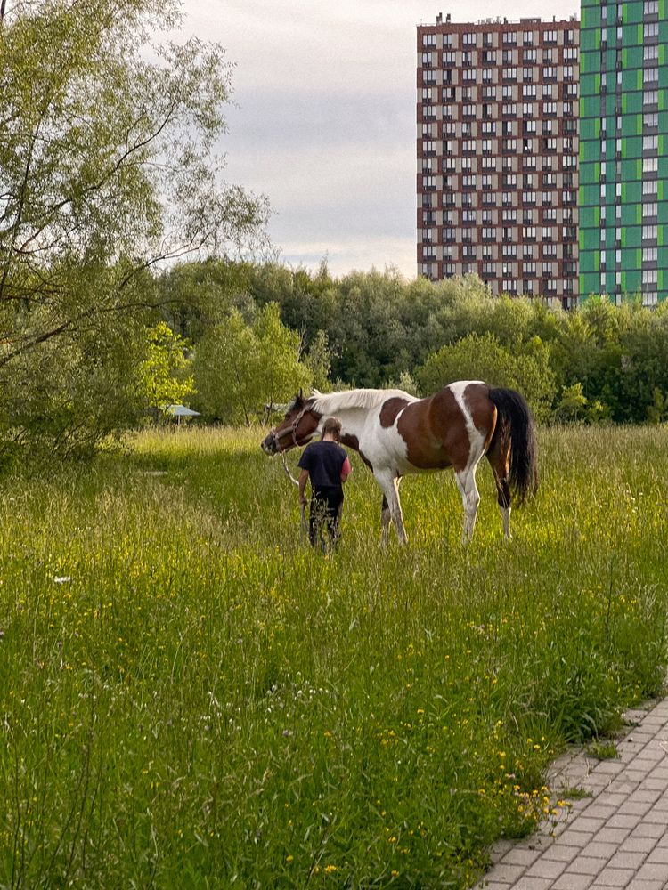 Photograph by Елена