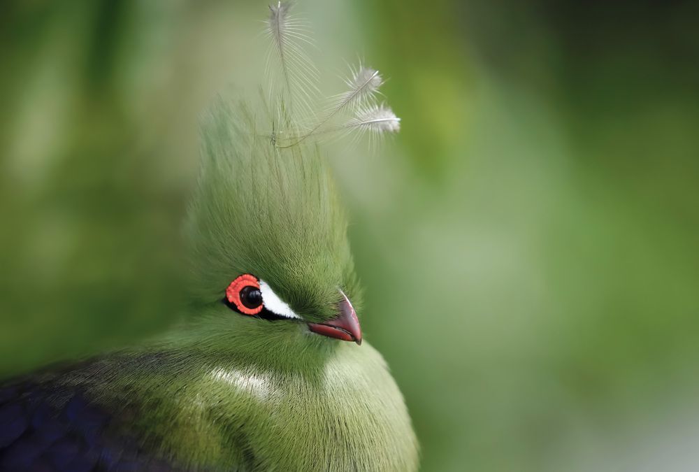 Photograph by Raed Victor Saad