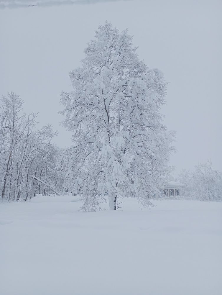 Photograph by Савина Анастасия Николаевна