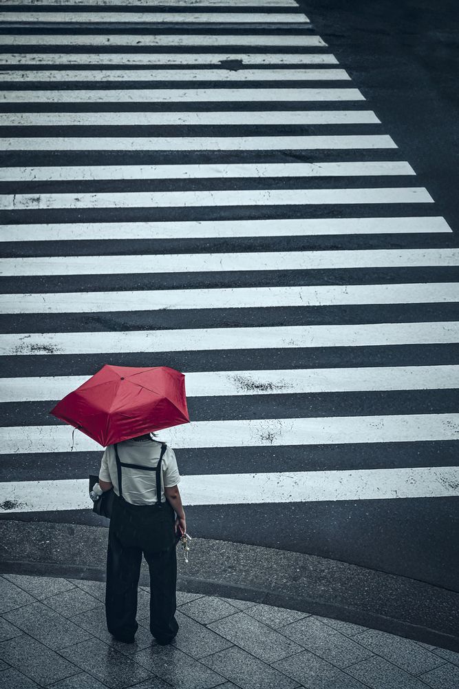 Photograph by Kogio Kong