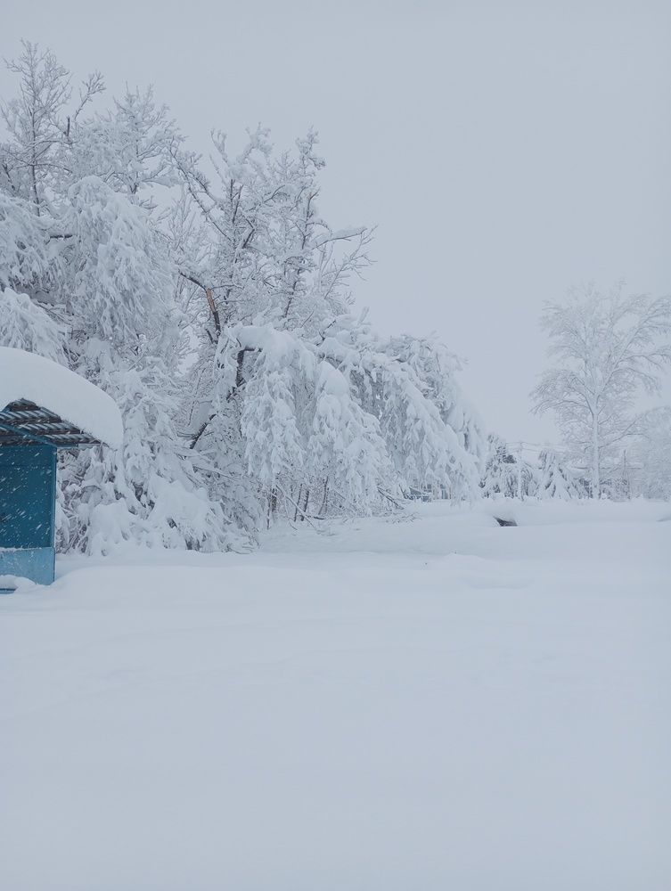 Photograph by Савина Анастасия Николаевна
