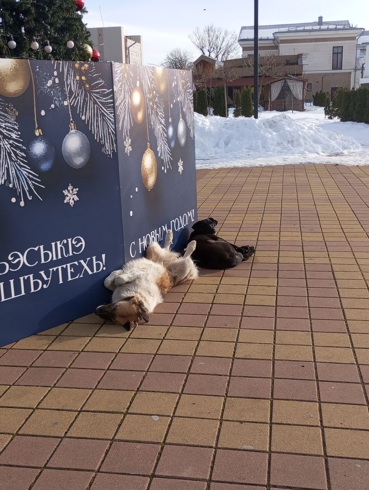 Photograph by Савина Анастасия Николаевна