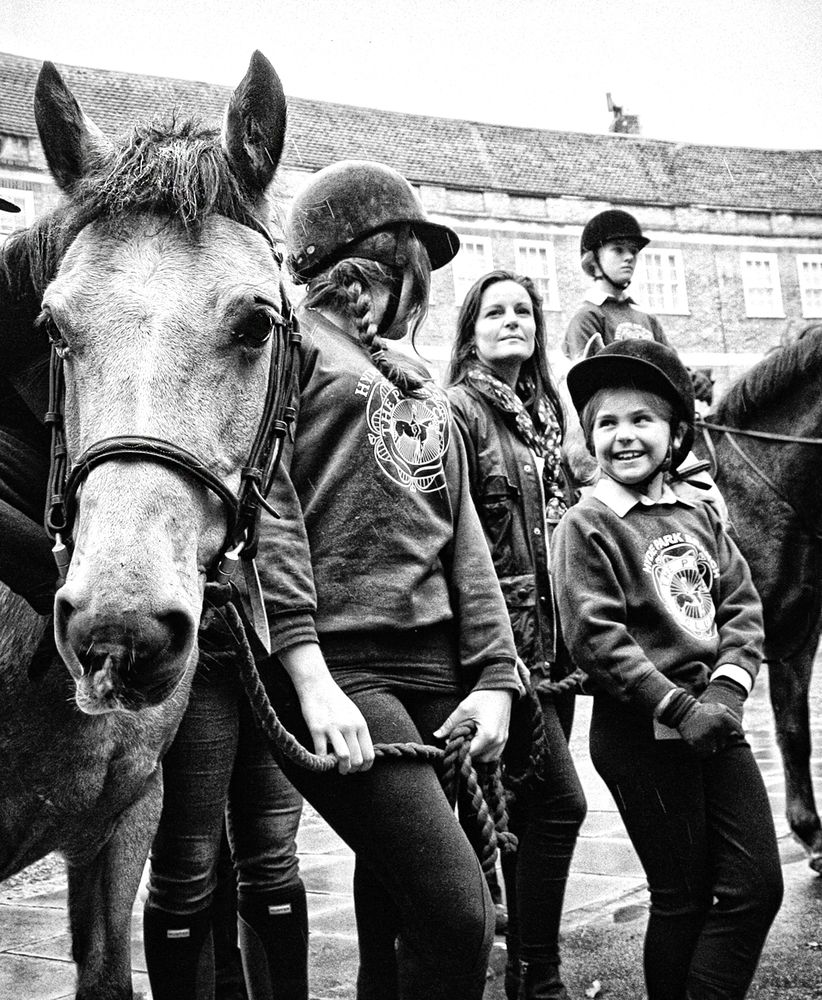 Фотография автора Елена Лаврова